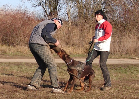 The christmas training 27.12.2006